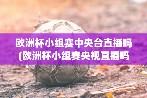 欧洲杯小组赛中央台直播吗(欧洲杯小组赛央视直播吗)