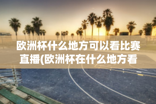 欧洲杯什么地方可以看比赛直播(欧洲杯在什么地方看直播)