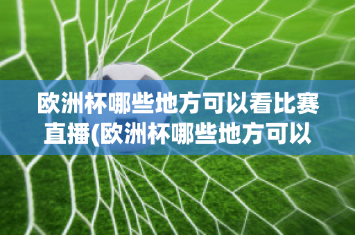 欧洲杯哪些地方可以看比赛直播(欧洲杯哪些地方可以看比赛直播回放)