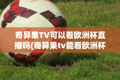 奇异果TV可以看欧洲杯直播吗(奇异果tv能看欧洲杯吗)