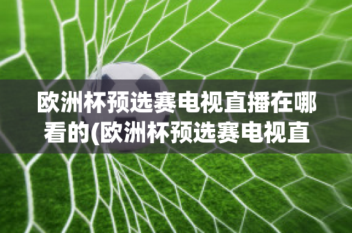 欧洲杯预选赛电视直播在哪看的(欧洲杯预选赛电视直播在哪看的到)