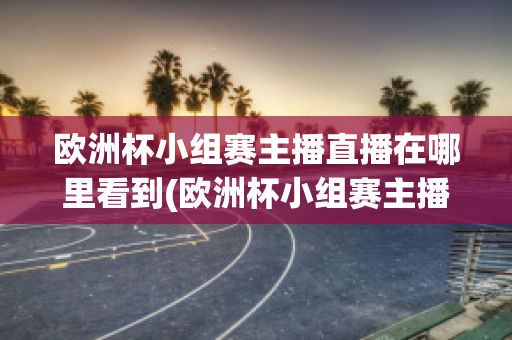 欧洲杯小组赛主播直播在哪里看到(欧洲杯小组赛主播直播在哪里看到回放)