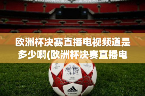 欧洲杯决赛直播电视频道是多少啊(欧洲杯决赛直播电视频道是多少啊回放)