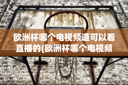 欧洲杯哪个电视频道可以看直播的(欧洲杯哪个电视频道可以看直播的)