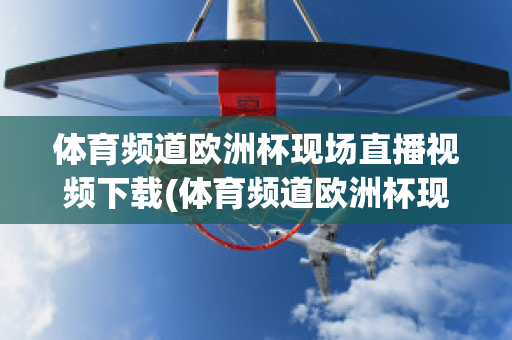 体育频道欧洲杯现场直播视频下载(体育频道欧洲杯现场直播视频下载软件)