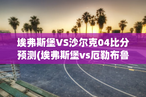 埃弗斯堡VS沙尔克04比分预测(埃弗斯堡vs厄勒布鲁比分)