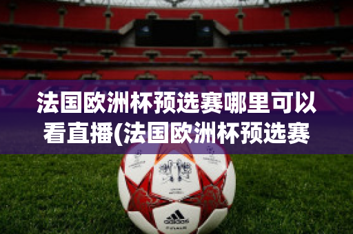 法国欧洲杯预选赛哪里可以看直播(法国欧洲杯预选赛哪里可以看直播回放)