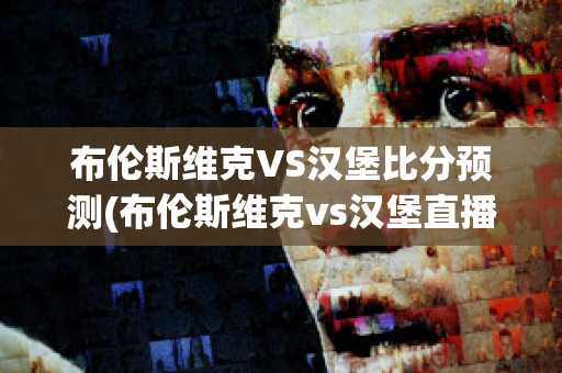 布伦斯维克VS汉堡比分预测(布伦斯维克vs汉堡直播)