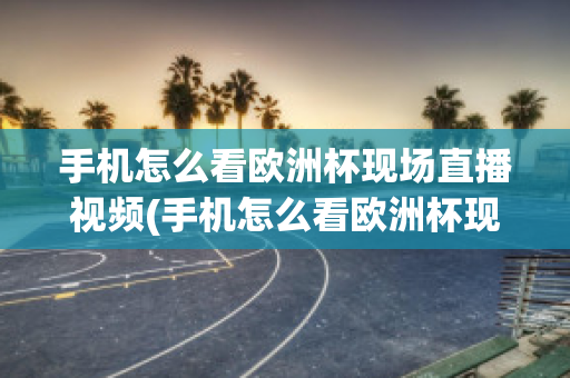 手机怎么看欧洲杯现场直播视频(手机怎么看欧洲杯现场直播视频呢)