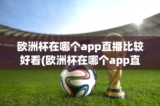 欧洲杯在哪个app直播比较好看(欧洲杯在哪个app直播比较好看一点)