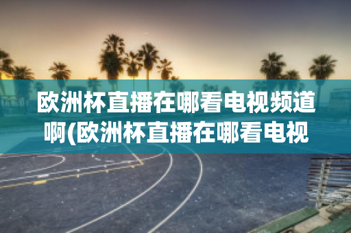 欧洲杯直播在哪看电视频道啊(欧洲杯直播在哪看电视频道啊视频回放)