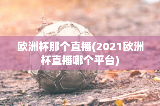 欧洲杯那个直播(2021欧洲杯直播哪个平台)