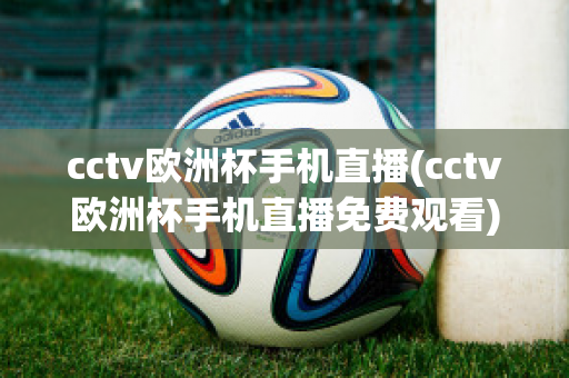 cctv欧洲杯手机直播(cctv欧洲杯手机直播免费观看)