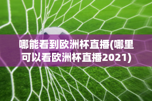 哪能看到欧洲杯直播(哪里可以看欧洲杯直播2021)