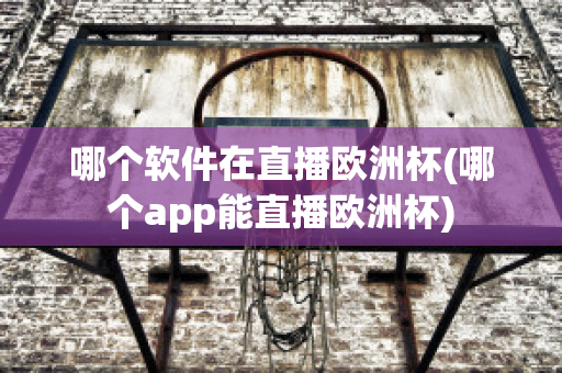 哪个软件在直播欧洲杯(哪个app能直播欧洲杯)