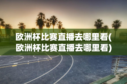 欧洲杯比赛直播去哪里看(欧洲杯比赛直播去哪里看)