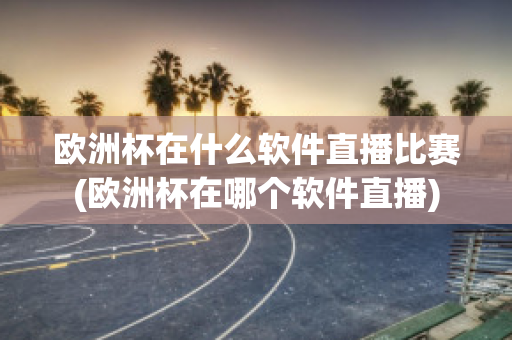 欧洲杯在什么软件直播比赛(欧洲杯在哪个软件直播)