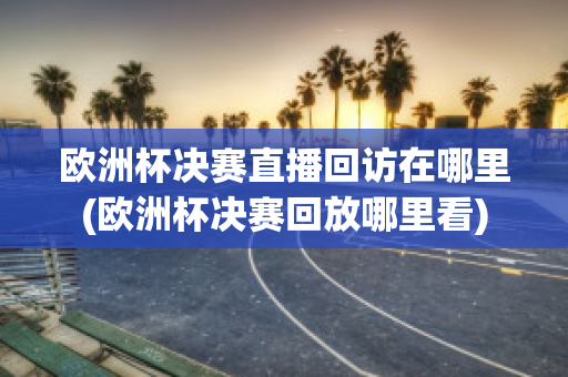 欧洲杯决赛直播回访在哪里(欧洲杯决赛回放哪里看)