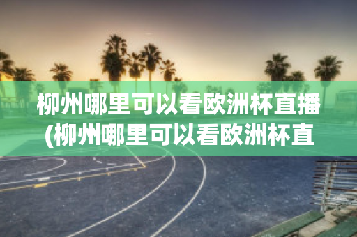 柳州哪里可以看欧洲杯直播(柳州哪里可以看欧洲杯直播的地方)