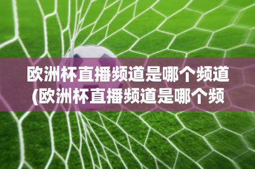 欧洲杯直播频道是哪个频道(欧洲杯直播频道是哪个频道播放)