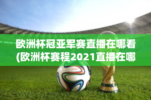 欧洲杯冠亚军赛直播在哪看(欧洲杯赛程2021直播在哪里看)