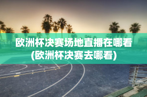 欧洲杯决赛场地直播在哪看(欧洲杯决赛去哪看)