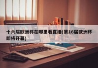 欧洲杯直播官方平台是什么:欧洲杯直播官方平台是什么软件