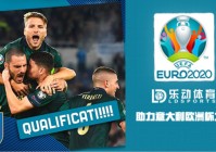 电视频道直播欧洲杯比赛:电视直播欧洲杯赛程