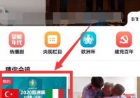 用手机看欧洲杯直播:如何用手机看欧洲杯直播