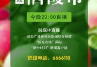 沛县直播欧洲杯:沛县电视台直播在线