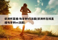 怎么看欧洲杯即时直播视频:怎么看欧洲杯即时直播视频回放