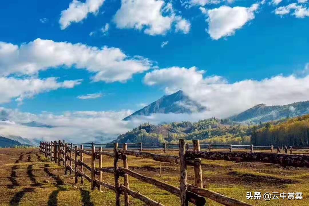 欧洲杯直播两会在哪里召开: