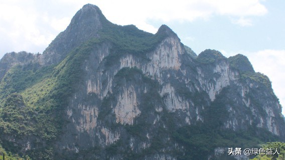 禅城哪里看欧洲杯直播:禅城哪里看欧洲杯直播的