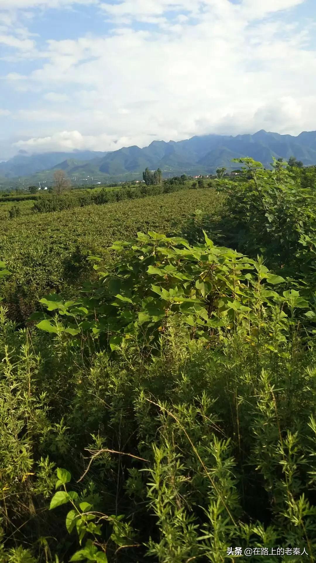 铜仁欧洲杯直播:铜仁欧洲杯直播平台