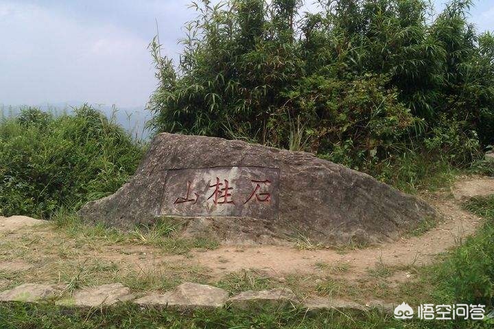 福州看欧洲杯直播的地方:福州看欧洲杯直播的地方有哪些