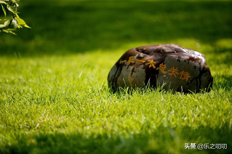 小学生足球欧洲杯视频直播:小学生足球欧洲杯视频直播回放