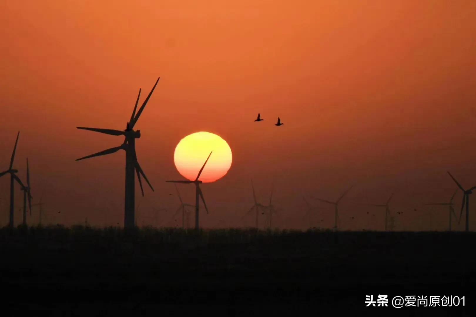 肇庆欧洲杯直播:肇庆欧洲杯直播平台