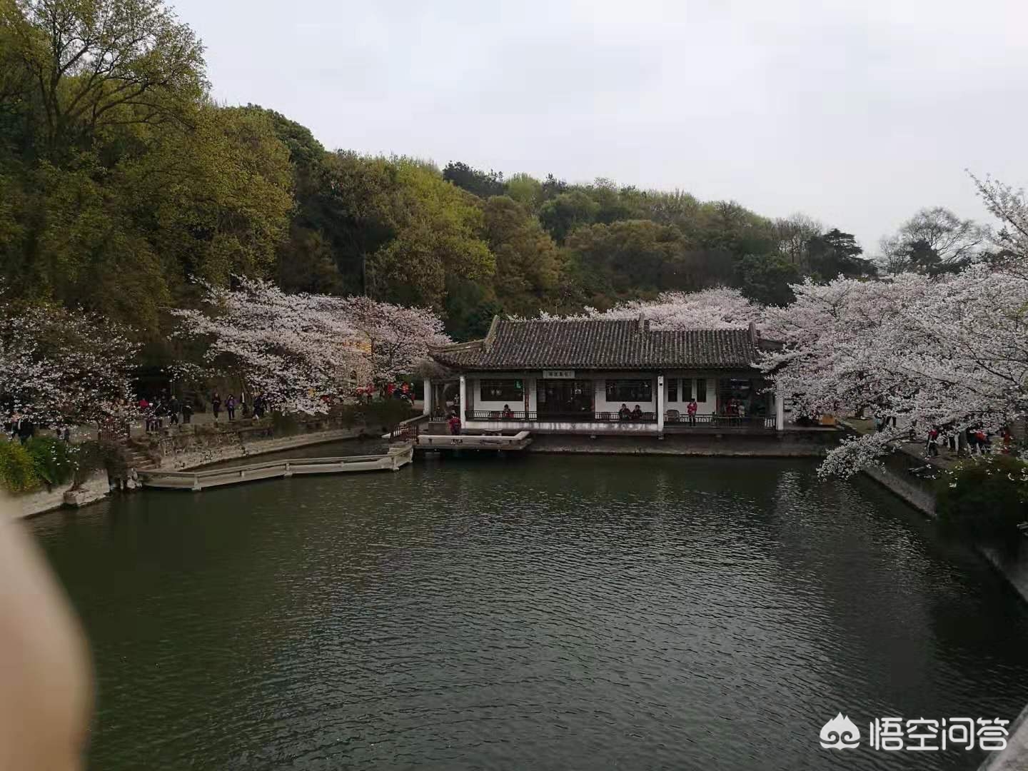 咸宁哪里可以看欧洲杯直播:咸宁哪里可以看欧洲杯直播的