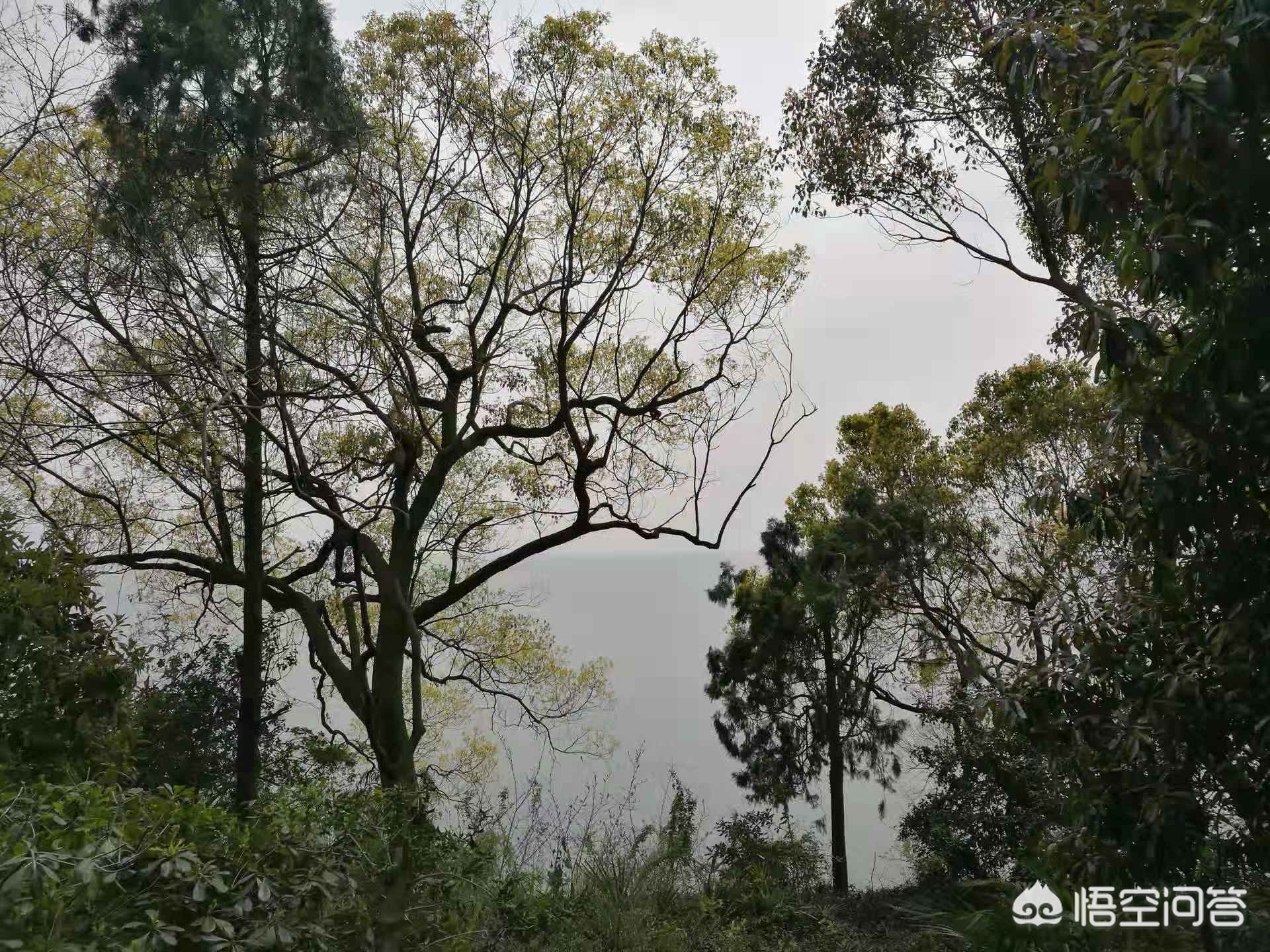 咸宁哪里可以看欧洲杯直播:咸宁哪里可以看欧洲杯直播的