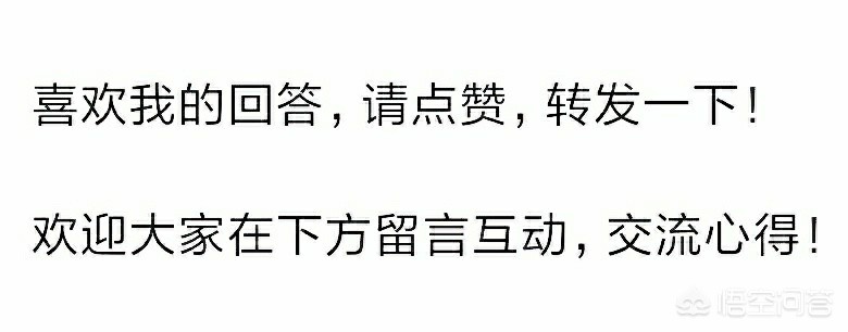 欧洲杯正赛直播视频在哪看:欧洲杯正赛直播视频在哪看啊