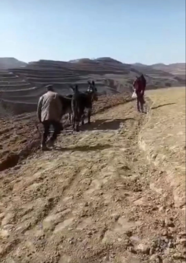 欧洲杯直播大地:欧洲杯 大地直播