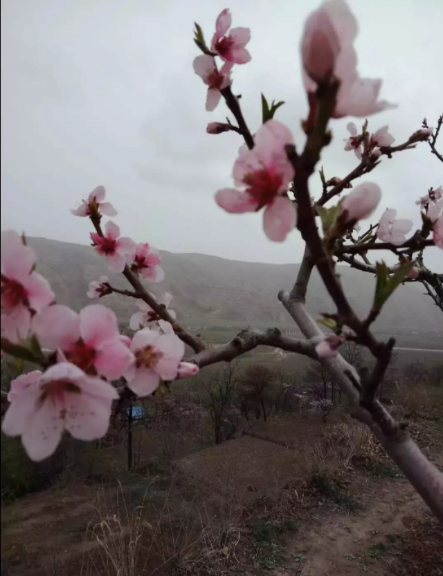 欧洲杯直播大地:欧洲杯 大地直播