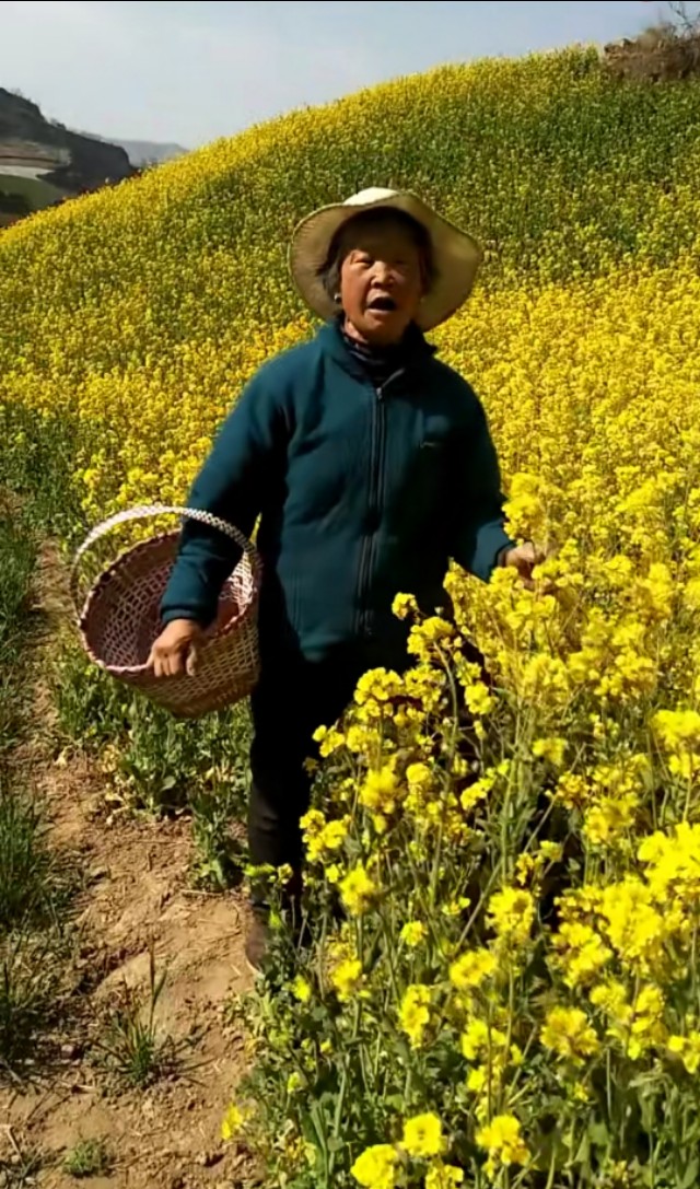 欧洲杯直播大地:欧洲杯 大地直播