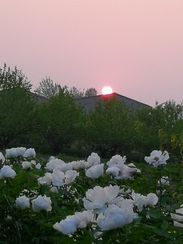 欧洲杯直播大地:欧洲杯 大地直播