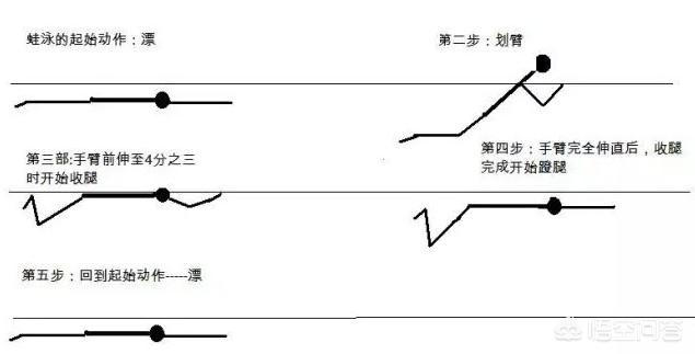 青蛙欧洲杯比赛直播: