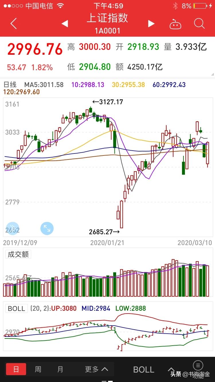 欧洲杯狗的反应视频直播:欧洲杯宠物