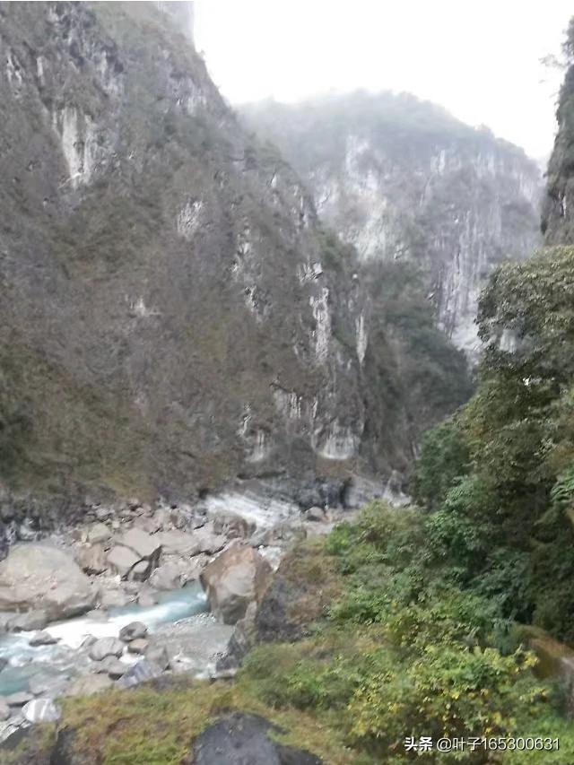 台东哪能看欧洲杯直播比赛:台东哪能看欧洲杯直播比赛啊