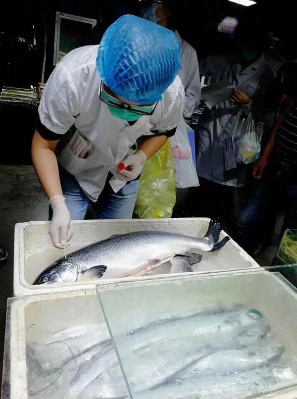 天天直播体育直播欧洲杯:天天直播体育直播欧洲杯在线观看