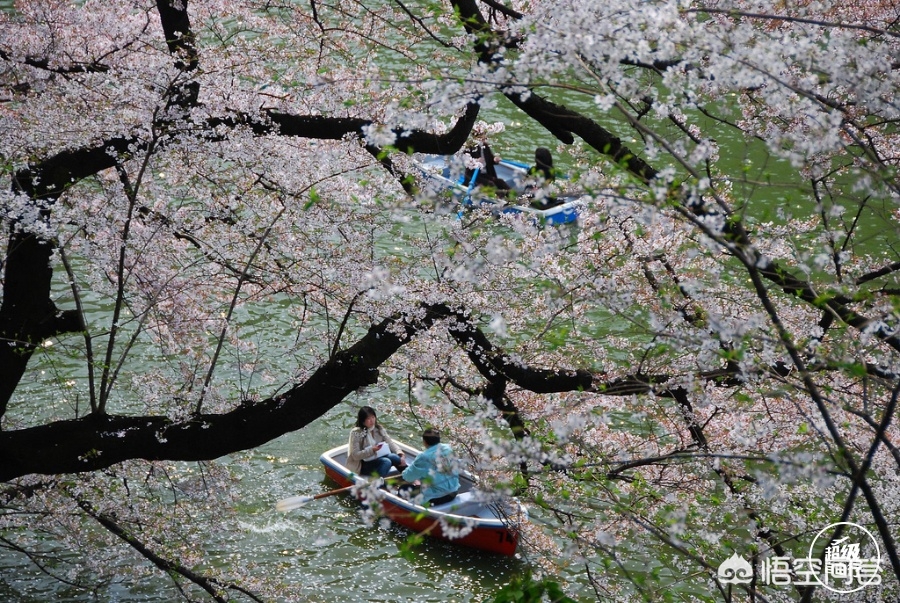 眉山哪里看欧洲杯直播比赛:眉山哪里看欧洲杯直播比赛最好