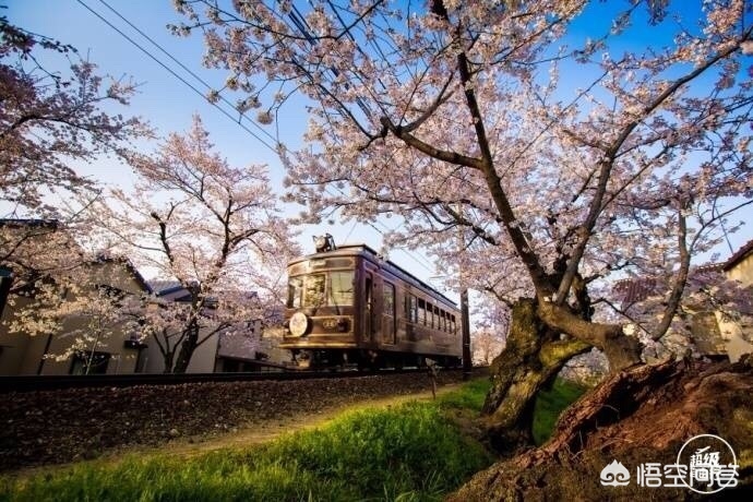 眉山哪里看欧洲杯直播比赛:眉山哪里看欧洲杯直播比赛最好